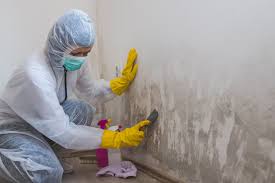 Why You Should Choose Our Mold Remediation Services in Ellisburg, NJ